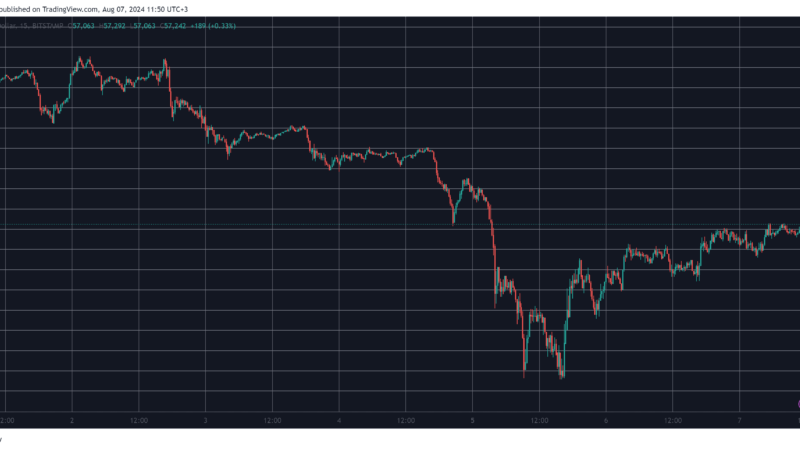 WIF Skyrockets 27% Daily After Meme Coin Massacre, BTC Recovers to $57K (Market Watch)