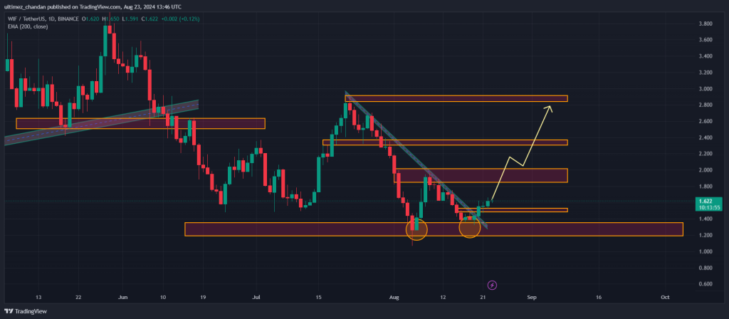 WIF’s Largest Holder Makes $2.7M Purchase, Bullish Reversal Imminent?