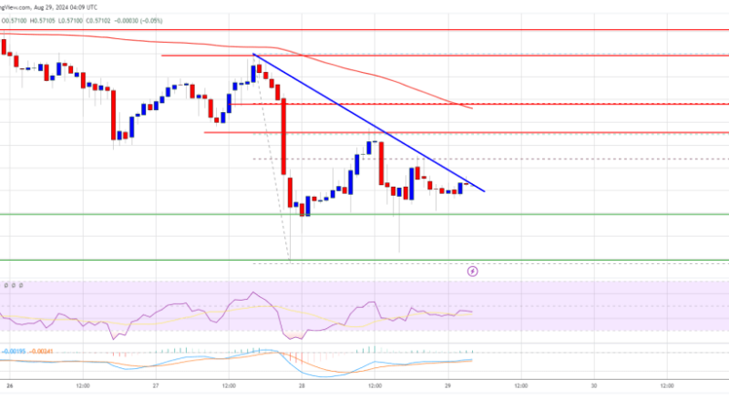 XRP Bulls Target New Gains: Will They Achieve a Breakout?