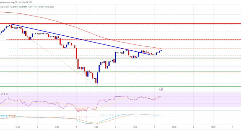 XRP Price Eyes Breakout: Will It Surge Past Resistance?