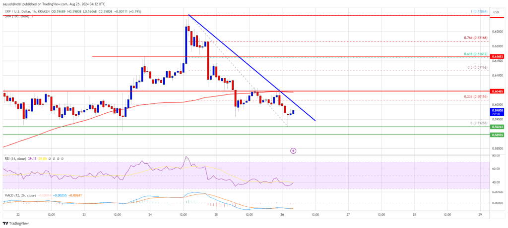 XRP Price Faces Challenges: Will It Overcome and Rise?