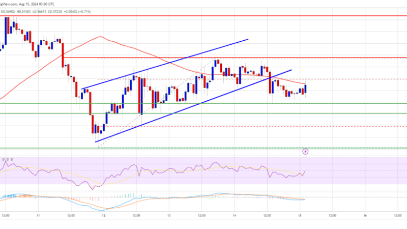 XRP Price On The Edge: Can It Survive and Start Fresh Increase