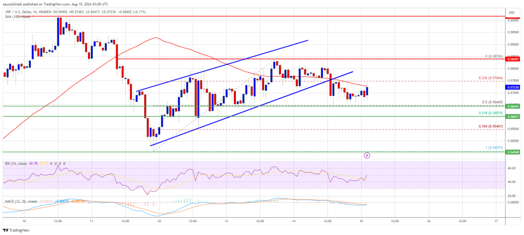 XRP Price On The Edge: Can It Survive and Start Fresh Increase