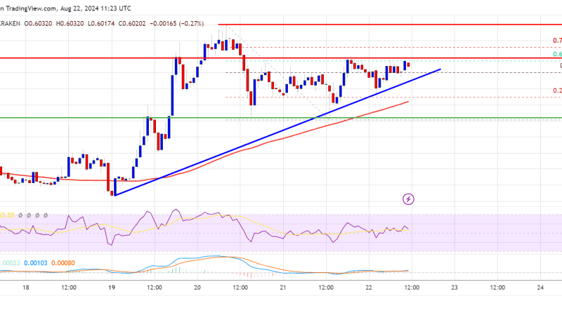 XRP Price Poised for Steady Rise: Can It Maintain Its Uptrend?