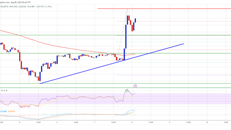 XRP Price Rallies 25%: Can This Breakout Continue?