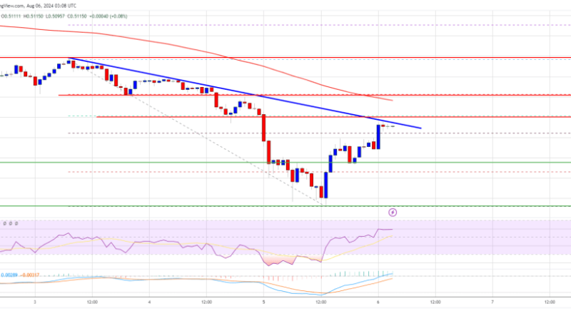 XRP Price Recovery Encounters Hurdles: Will It Prevail?