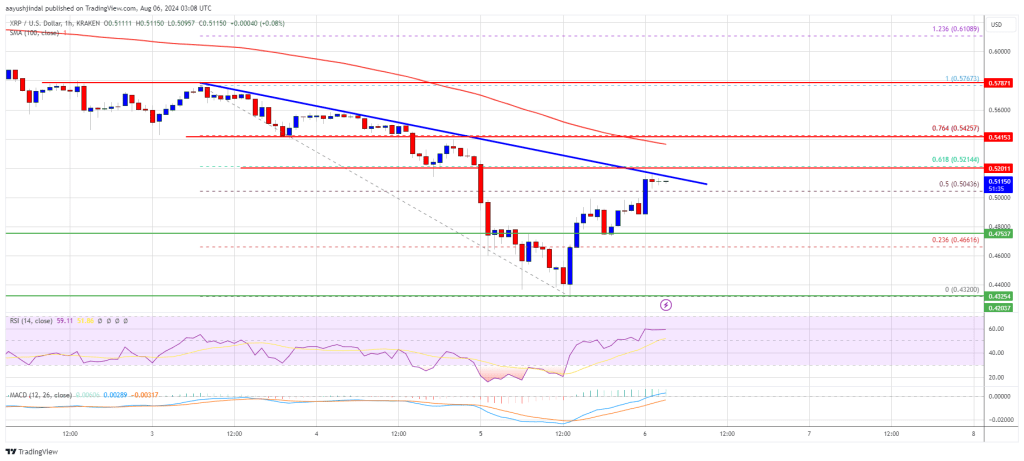 XRP Price Recovery Encounters Hurdles: Will It Prevail?