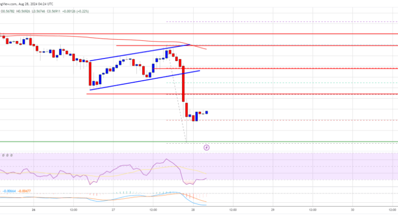 XRP Price Reverses Course: Are More Losses Coming?