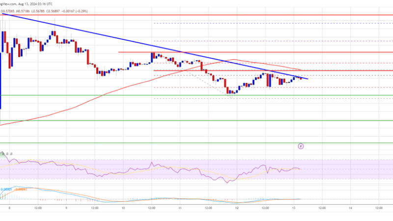 XRP Price Struggles at Resistance: Will Bulls Power a Fresh Upsurge?