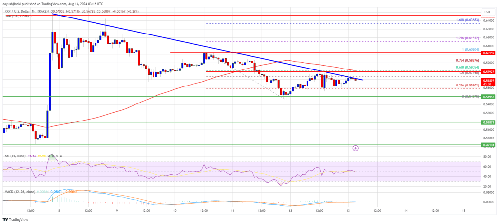 XRP Price Struggles at Resistance: Will Bulls Power a Fresh Upsurge?