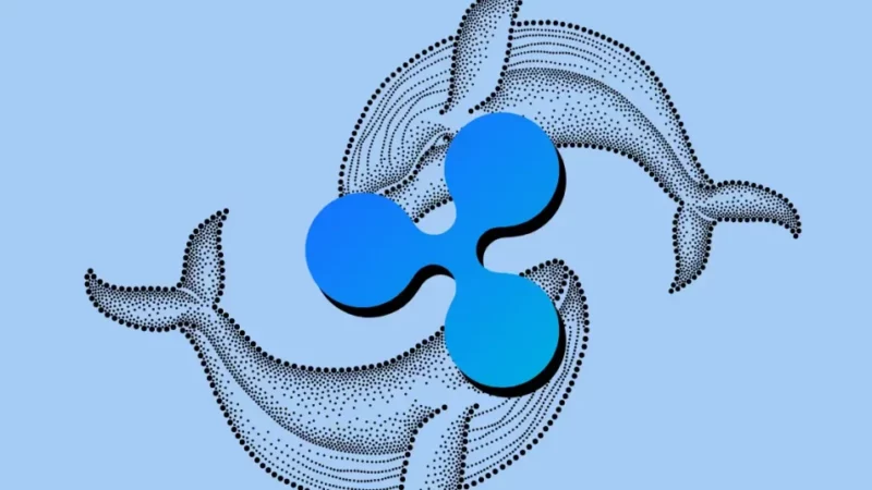 XRP Whales Move 113 mln Tokens from Exchanges, Buy Signal?