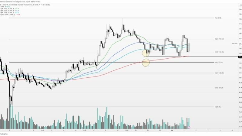 AAVE Whale Goes On $6.78 Million Buying Spree As Price Recovers 16%