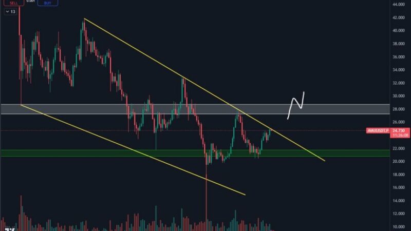 Analyst Predicts AVAX Breakout: Is $30 The Next Target?