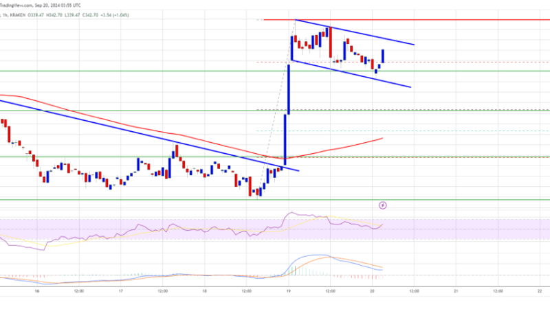 Bitcoin Cash Price Jumps 15%: Is This Just the Beginning of More Gains?