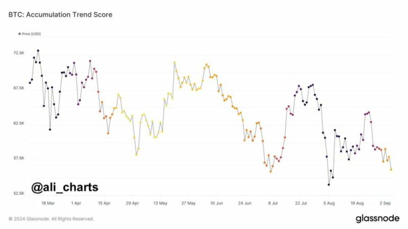 Bitcoin Investors Quiver As Accumulation Trend Nears Zero