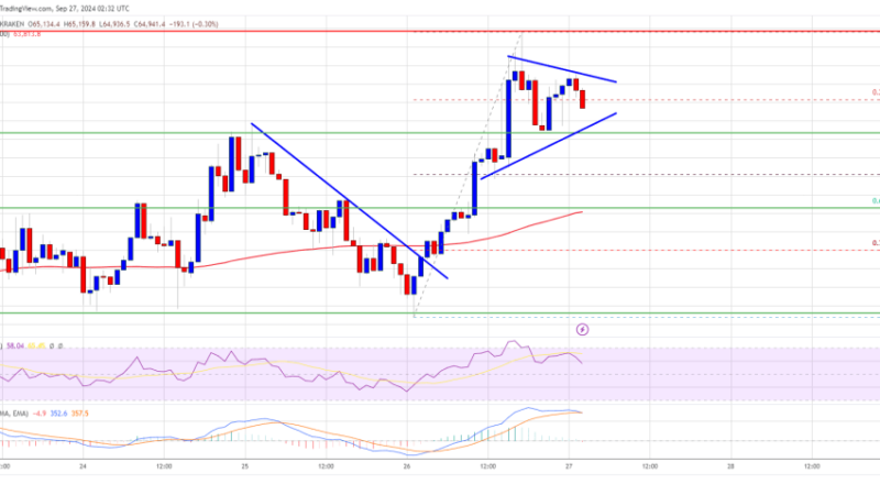 Bitcoin Price Back on Track: Can It Maintain Traction?