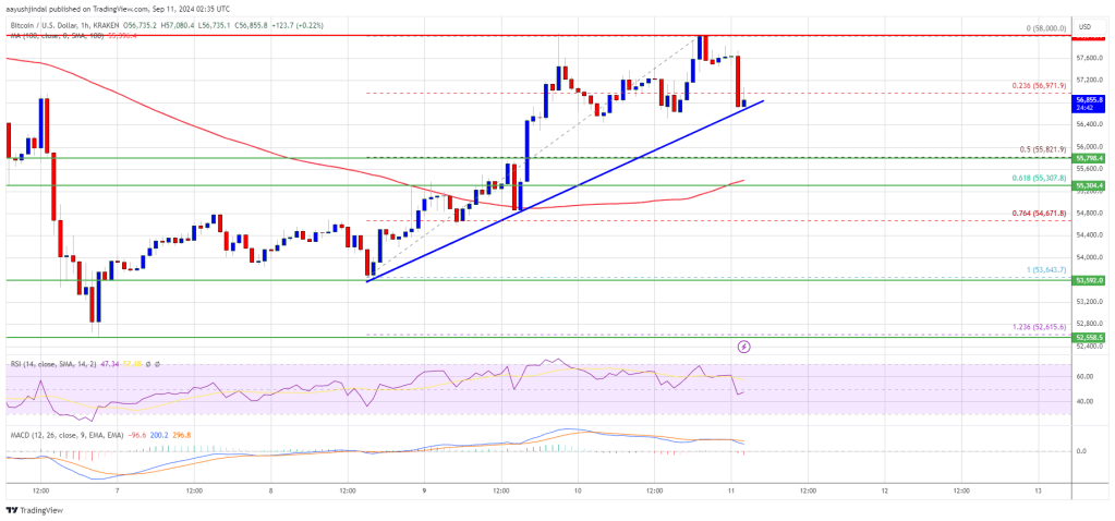 Bitcoin Price Battles to Extend Gains: Will It Clear $58K?