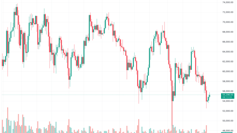 Bitcoin Price Could Face Challenges With 0.50% Fed Rate Cut, Warns 10X Research