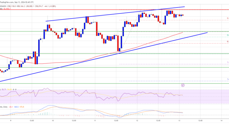 Bitcoin Price Eyes Further Gains Toward $60K: Can It Break Through?