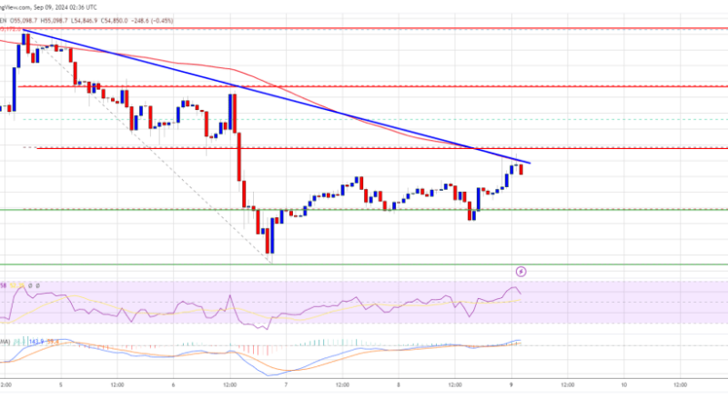 Bitcoin Price Rebounds, But Could the Downtrend Return?