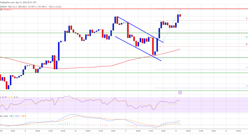 Bitcoin Price Rises Steadily: Will It Reach $60K Next?