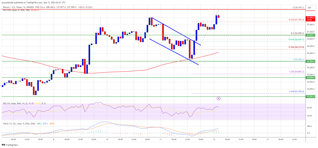 Bitcoin Price Rises Steadily: Will It Reach $60K Next?