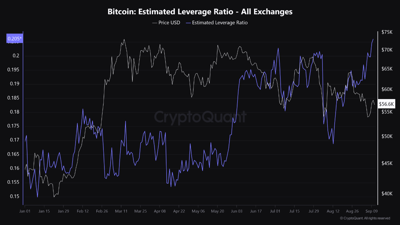 Bitcoin’s Leverage Ratio Hits New High: What Does This Mean BTC?