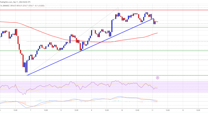 BNB Price Reclaims $500: Can Bulls Maintain the Push?