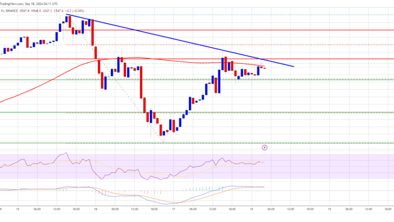 BNB Price Set to Outperform: Is a Breakout Coming Soon?