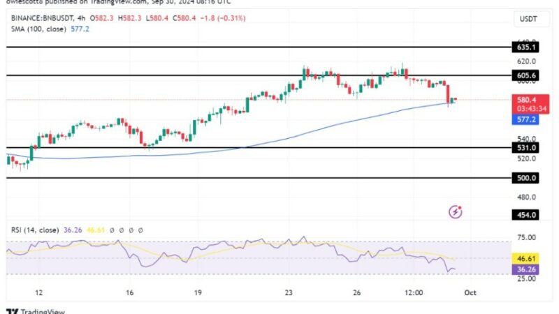 BNB Rally Fades As Price Dips Under $600: Is A Correction Looming?