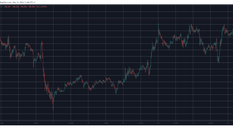 BTC Rises Above $58K Following CPI Data, BNB and ADA Jump by 6% (Market Watch)