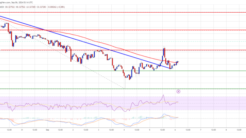 Cardano (ADA) Path To Recovery: Can It Fuel a Strong Rally?