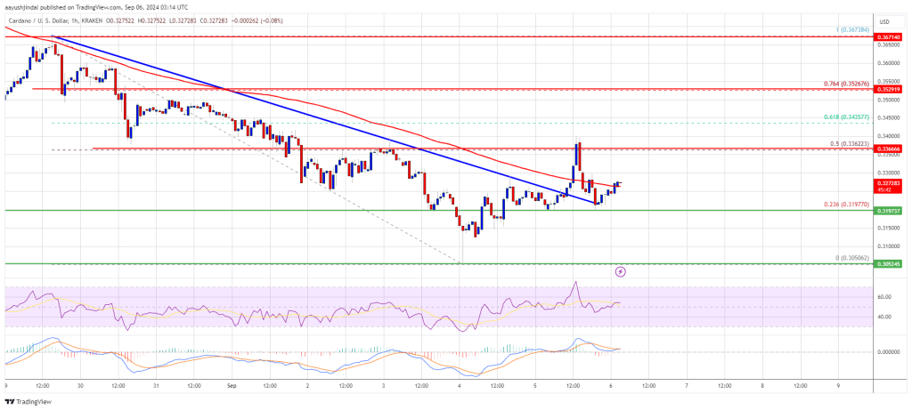 Cardano (ADA) Path To Recovery: Can It Fuel a Strong Rally?