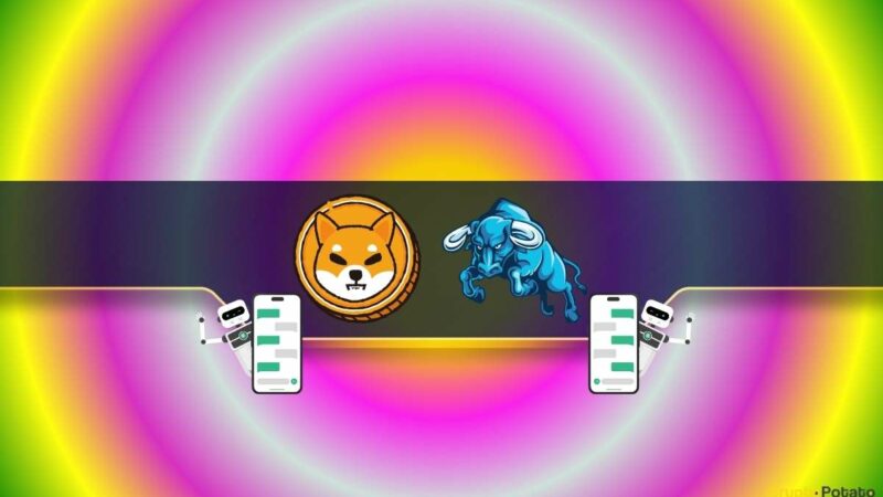 ChatGPT Speculates if Shiba Inu (SHIB) Can Experience a Bull Run Before the End of 2024