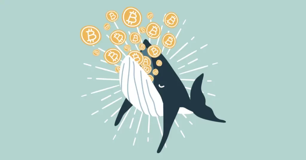 Crypto Whales Are Stacking These Coins During the Dip! 