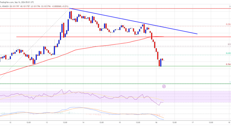 Dogecoin (DOGE) Trims Gains, Can This Key Support Hold Losses?