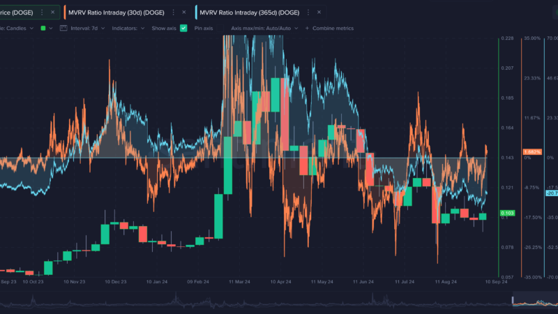 Dogecoin Vs Shiba Inu Vs Pepe: How Do The Top Memecoins Compare In Investor Profits?