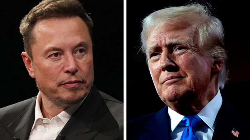 Donald Trump Wants to Make Elon Musk Head of ‘Government Efficiency Commission’