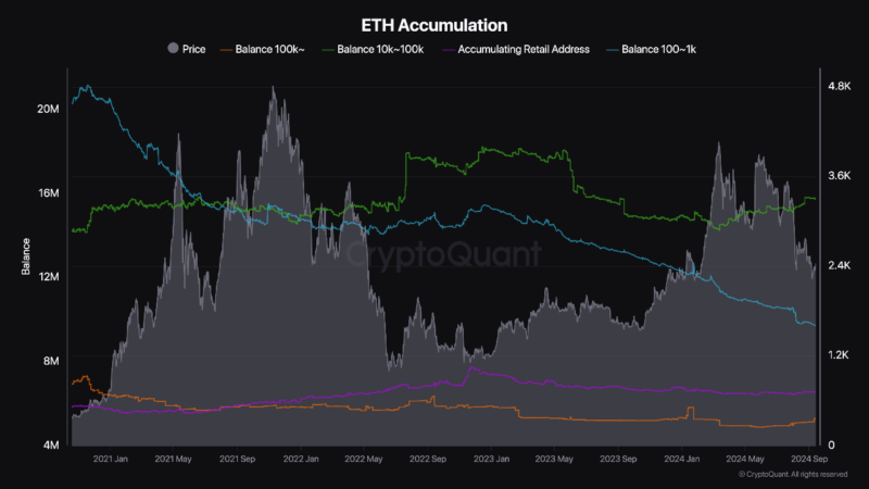 Ethereum Holders Show Mixed Signals: Are The Big Players Losing Interest?