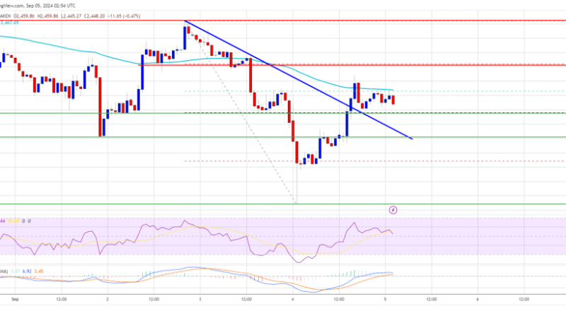 Ethereum Price Gains in Danger: Will the Decline Continue?