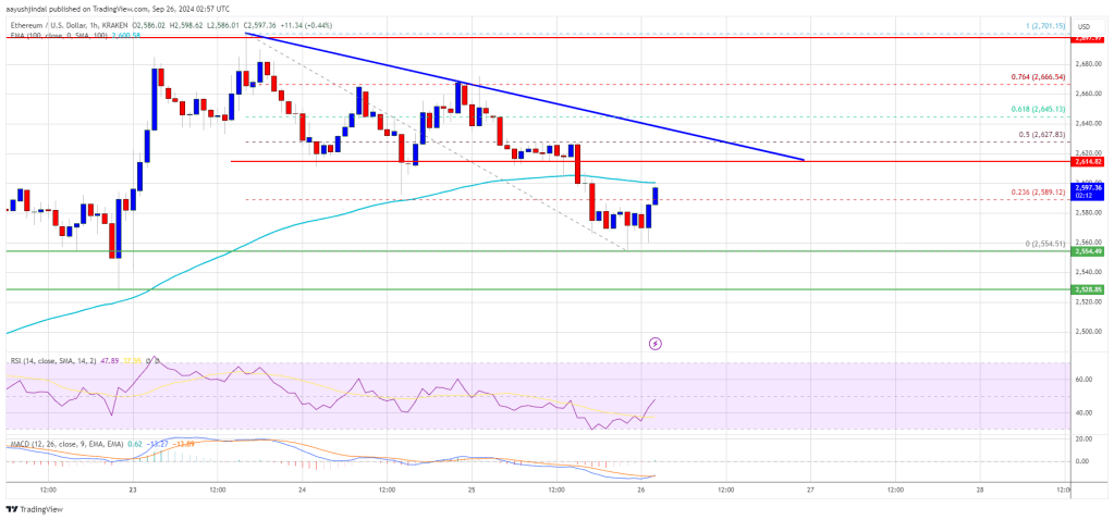 Ethereum Price Set to Rise Again, But Will This Level Hold?