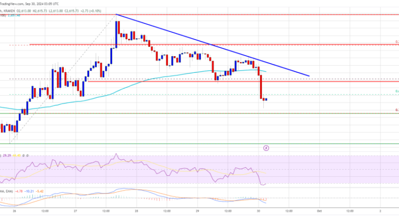 Ethereum Price Trims Gains: Is the Rally Losing Steam?