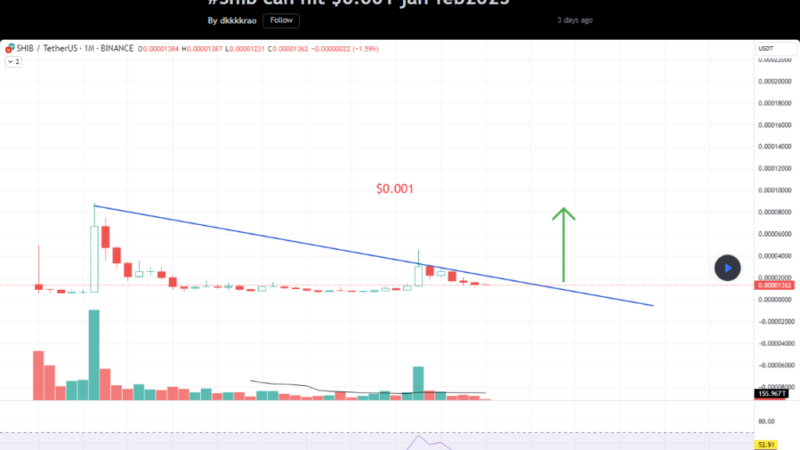 Get Ready For Take-Off! Shiba Inu Price To Jump 7,350% — Analyst