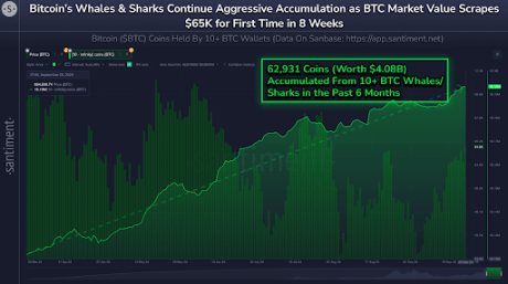 Here’s Who Has Been Driving The Bitcoin Price Recovery Above $65,000