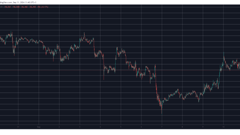 ICP Skyrockets by Double Digits, BTC Price Stopped at $58K (Market Watch)