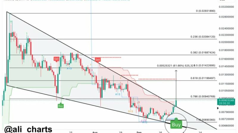 Notcoin Set For More Gains Following 13% Price Rally – Details