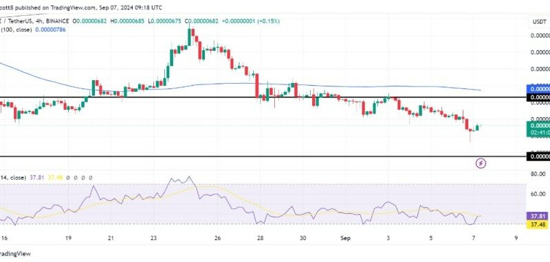 PEPE Faces Key Support Test At $0.00000589 – Will Bulls Hold The Line?