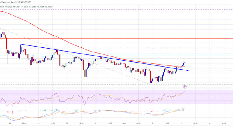 Polkadot Price Lags: Can DOT Establish a Base for Recovery?