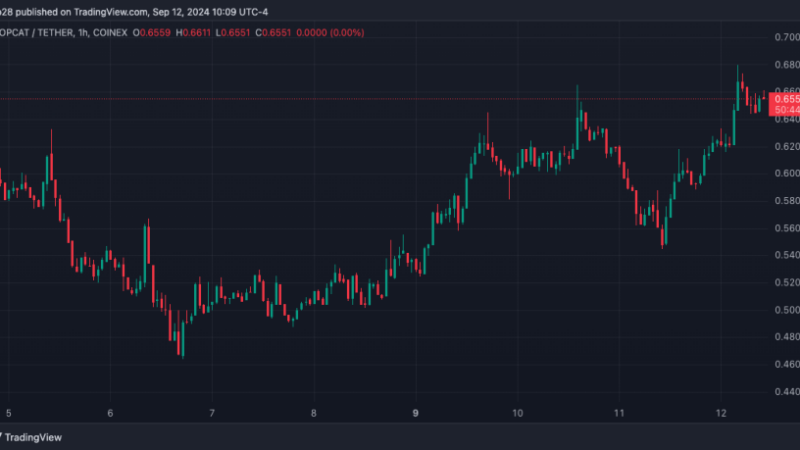 POPCAT Jumps 20% As Whales Load Their Bags, Is A ‘Cat Season’ Ahead?