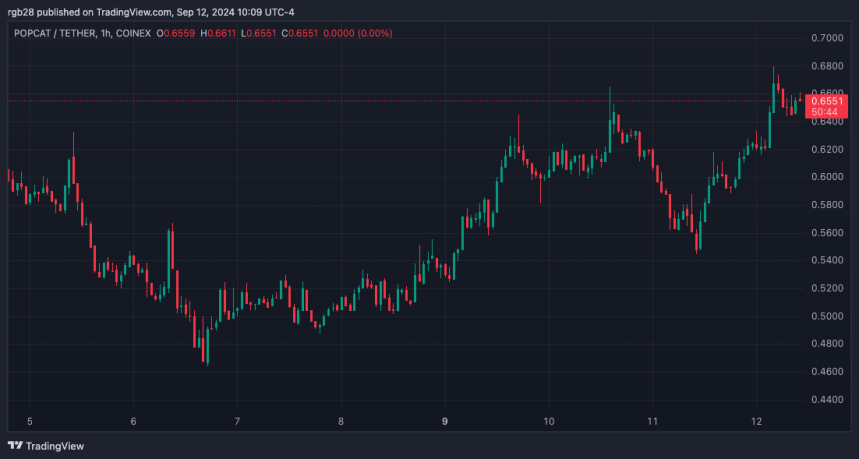 POPCAT Jumps 20% As Whales Load Their Bags, Is A ‘Cat Season’ Ahead?